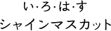 륂ͥ VC}XJbg