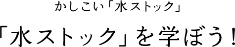 uXgbNvwڂI